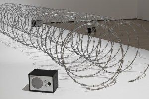 Steve-Bates-–-Concertina